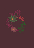 Pop Botanical 1, a new season greeting card by Boka in design