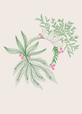 Tropical 3, a botanical greeting card by Boka in design